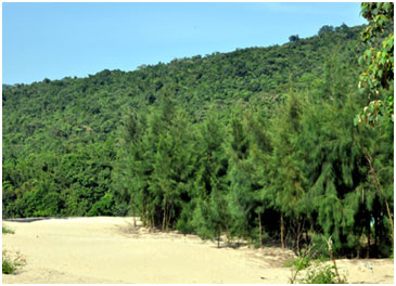 Một góc đảo Ba Mùn